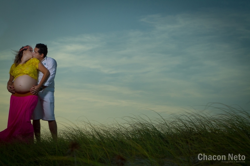 Book Gestante Kamila Brito