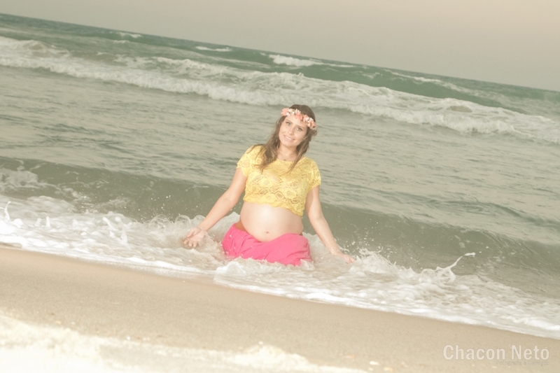 Book Gestante Kamila Brito